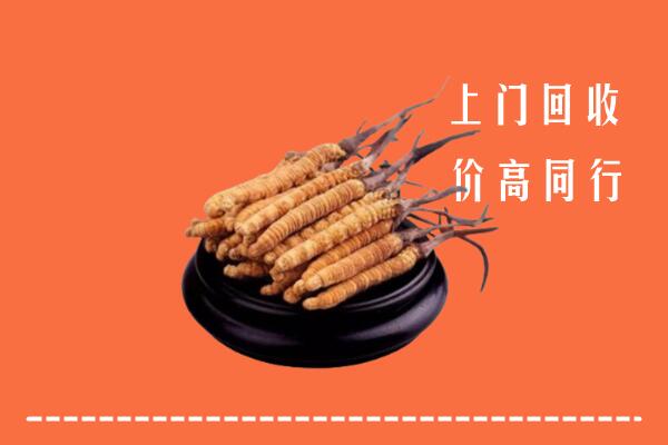 高价求购：平定县回收散虫草