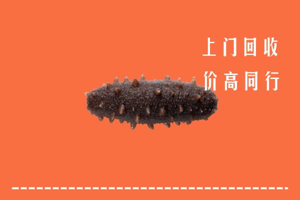 收购行情：平定县回收海参