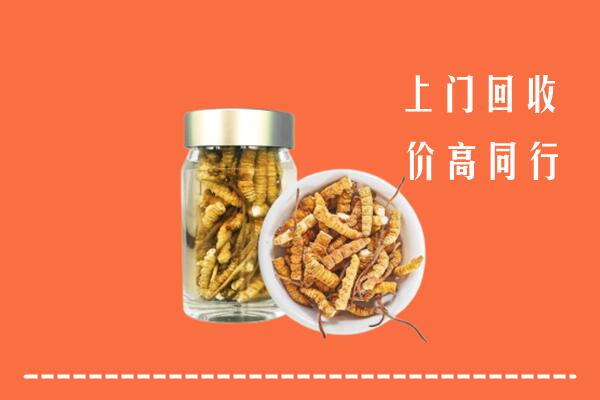 平定县回收冬虫夏草
